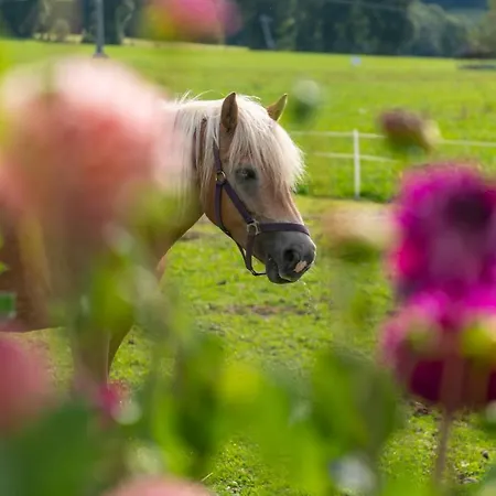 Hartlhof Urlaub Am Baby- Und Kinderbauernhof Нидерау