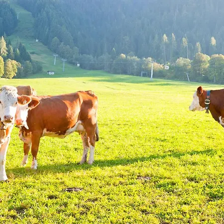 Hartlhof Urlaub Am Baby- Und Kinderbauernhof