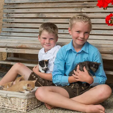 Hartlhof Urlaub Am Baby- Und Kinderbauernhof