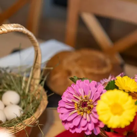 Hartlhof Urlaub Am Baby- Und Kinderbauernhof *